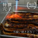 【ふるさと納税】 焼き あなご 240g [ 不揃い小ぶりサイズ ]　【魚貝類 穴子】