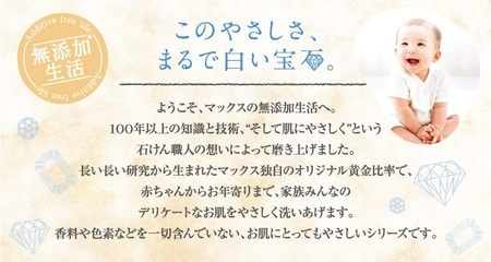 【全4回定期便】肌荒れを防ぐ薬用無添加　泡ボディソープ 詰替セット4個入　＜無添加生活シリーズ＞ ※北海道・沖縄・離島への配送不可