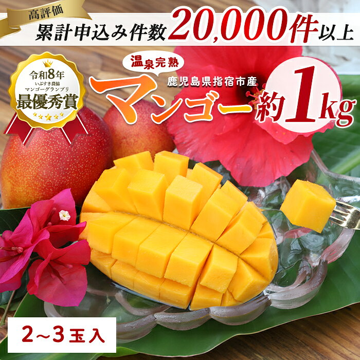 【ふるさと納税】＜2026年 発送＞訳あり 温泉完熟マンゴー(約1kg・2〜3玉) 果物 フルーツ 完熟 スムージー ジュース 夏 旬 南国 家庭用 自宅用 鹿児島 いぶすき【トロピカルフルーツ＆プランツ】