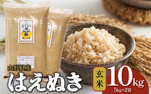 【令和7年産】はえぬき 玄米 10kg(5kg×2袋)　山形県産 | 10キロ 米 お米 コメ 食品 ご飯 ごはん 美味しい おいしい ブランド米 エコ包装 おすすめ 人気 山形県 鶴岡市 東北 国産 お取り寄せ SDGs未来都市鶴岡 返礼品