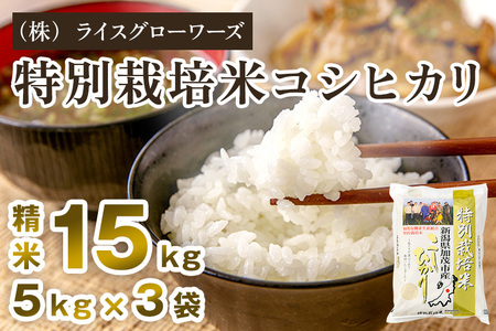 【令和7年産】新潟県加茂市産 特別栽培米コシヒカリ 精米15kg（5kg×3）《順次出荷》 （株）ライスグローワーズ