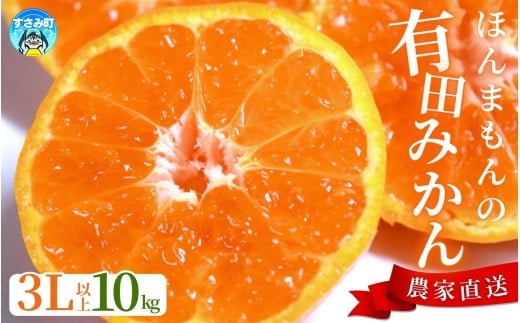 【農家直送】＼数量限定で復活！！／ びっくり有田みかん 約10kg 大玉3L以上 さらに年末年始発送！ 有機質肥料100% /  有田みかん みかん 温州みかん 11000円  柑橘 有田 フルーツ 果物 デザート 家庭用 贈答 和歌山 産地直送 ※2025年12月初旬～1月中旬に順次発送(お届け日指定不可)【nuk139E】