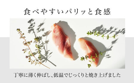 犬用おやつ 岐阜県産ささみジャーキー 8個セット【ONEFOR】[MGL009]