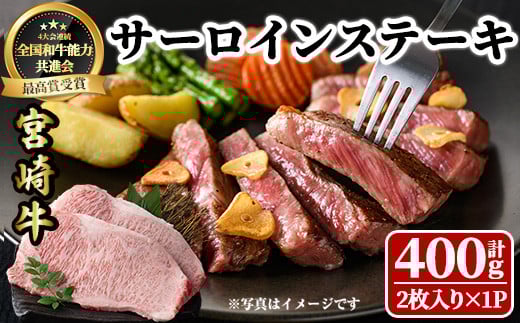 宮崎牛 サーロインステーキ(計400g・2枚) 希少部位 BBQ 牛肉 肉 ブランド牛  冷凍 国産 精肉 お取り寄せ 黒毛和牛 宮崎県 【LJ015】【ローカルブランディング株式会社】