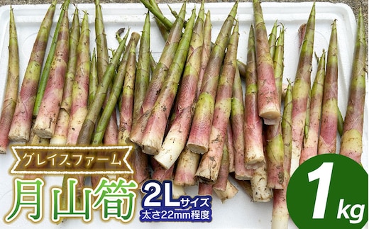 
										
										【令和7年産先行予約】月山筍 2Lサイズ（太さ22mm程度） 1kg 山形県鶴岡産 グレイスファーム
									