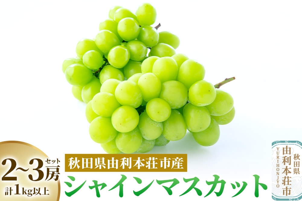 
                  秋田県由利本荘市産 シャインマスカット 2～3房セット
                