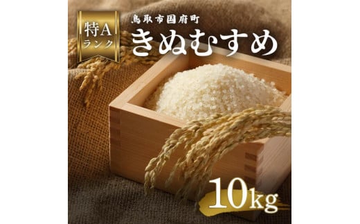 鳥取県産 きぬむすめ 令和7年度産 精米済 10kg（5kg×2袋）