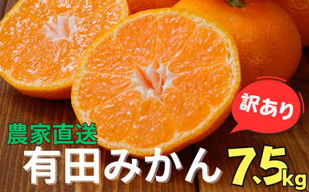 【訳あり】農家直送 有田みかん 約8kg ご家庭用 サイズ混合 ※2024年11月中旬から2025年1月中旬までに順次発送予定（お届け日指定不可）※北海道・沖縄・離島への配送不可【nuk157】