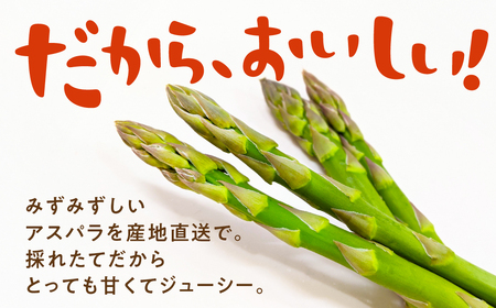 有機栽培アスパラガス 約 500g 有機栽培 有機 アスパラ グリーンアスパラ やさい 自然 安心安全 旬 オーガニック 送料無料 愛知県 豊橋市