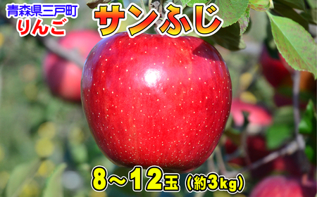 りんご【サンふじ】8～12玉（約3kg）【2024年産・先行予約】りんごりんごりんごりんごりんごりんごりんごりんごりんごりんご サンふじサンふじサンふじサンふじサンふじサンふじサンふじサンふじサンふじサンふじ 青森青森青森青森青森青森青森青森青森青森 リンゴリンゴリンゴリンゴリンゴリンゴリンゴリンゴリンゴリンゴ