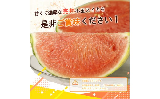 紀州和歌山産 小玉スイカ「ひとりじめ」2玉【予約】 ※2025年6月上旬頃～2025年6月下旬頃に順次発送予定(お届け日指定不可) スイカ すいか 果物 くだもの フルーツ