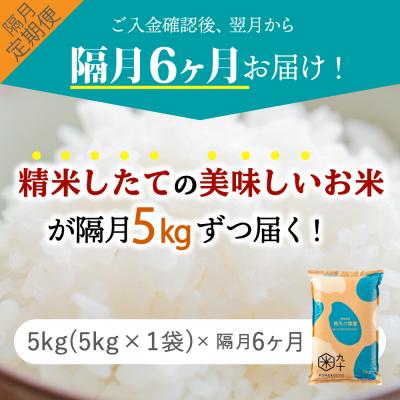 ふるさと納税 五所川原市 【定期便 隔月6回】青天の霹靂 定期便6回 米5kg 計 30kg 青森 |  | 01