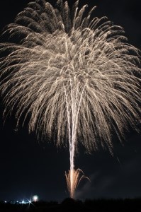 岐阜県大垣市で堪能するプライベート花火 2～4号玉 合計40発（3～4分程度） 
