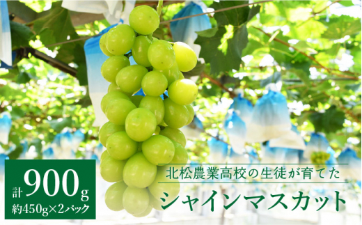 高校生が丁寧に育てた シャインマスカット 450g×2【長崎県立北松農業高等学校】[KAA204]
