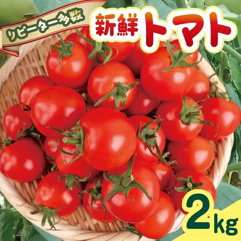 【先行受付】 トマト 2kg 安田町 トマト TR0008