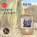 【ふるさと納税】 《新米予約》 米 5kg 新潟県産 コシヒカリ はざ掛け 天日干し 令和6年産 越後奥阿賀産 | 小会瀬 はざがけ こしひかり 一等米 送料無料 お取り寄せ お米 白米 精米 ※2024年10月中旬頃より順次発送