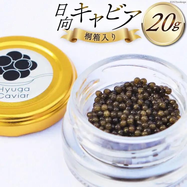 キャビア 日向キャビア (Hyuga Caviar) 20g 桐箱入り [ウィズ・クリエイティブ 宮崎県 日向市 452060892] 冷凍 宮崎 国産 チョウザメ フレッシュ 瓶
