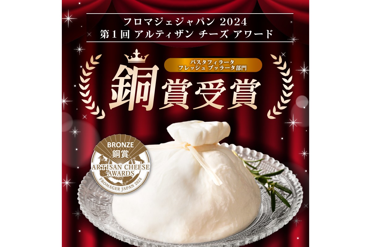 がんばれ中日ドラゴンズ！ナポリセット（JCA2022金賞・銀賞）【中日ドラゴンズコラボ】【0073-079】