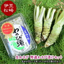 【ふるさと納税】生わさび 特選わさび漬けセット1 わさび セット wasabi 本わさび わさび漬 通販