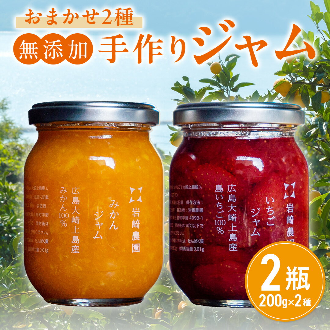 【ふるさと納税】岩崎農園 無添加 手作り ジャム 200g 2本 広島県 大崎上島町 瀬戸内 離島 農家 完全受注生産 新鮮 フレッシュ フルーツ いちじく みかん いちご ブルーベリー キウイ 果物 詰め合わせ パン