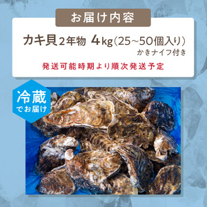 【予約：2024年10月下旬から順次発送】サロマ湖自慢の殻付きカキ貝 2年物 4.5kg詰め ( 牡蠣 かき 濃厚 魚介類 貝類 カキ ふるさと納税 牡蠣 北見市 BBQ )【114-0013-202