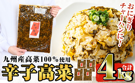 
a568 九州産辛子高菜セット4kg(1kg×4パック)ピリッと辛い風味豊かな高菜炒めはチャーハン・ラーメン・おにぎり等と相性抜群【九州新進】姶良市 常温 漬物 漬け物 高菜漬け
