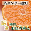 【ふるさと納税】＜1月より発送＞厳選 蔵出みかん5kg+150g（傷み補償分）有田 | フルーツ 果物 くだもの 食品 人気 おすすめ 送料無料 有田の蔵出しみかん 光センサー選果