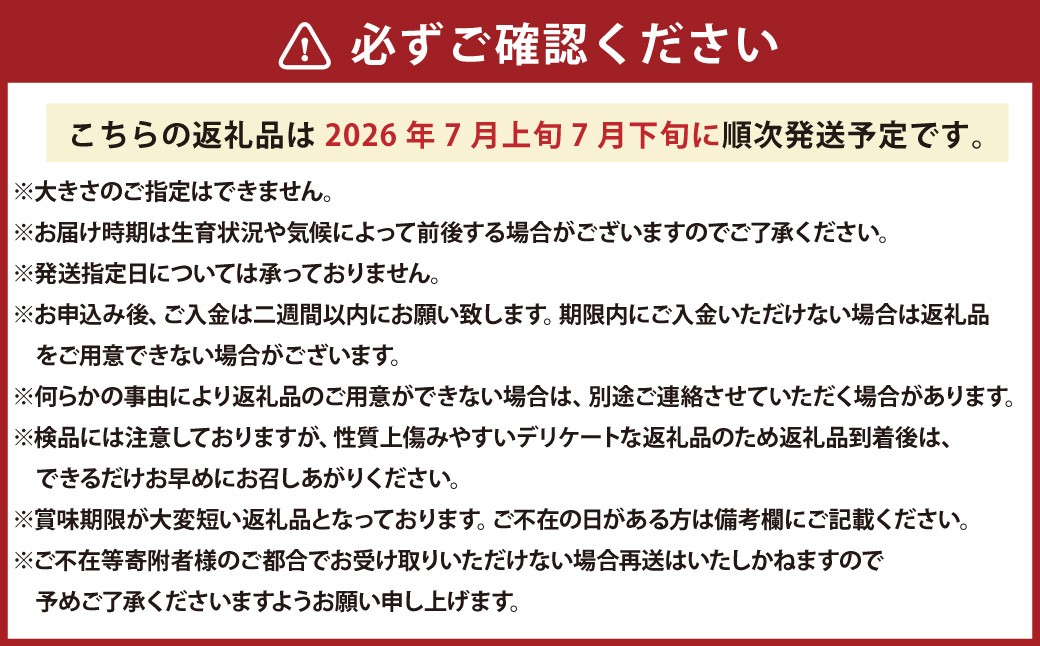 マドンナスイカ  1玉