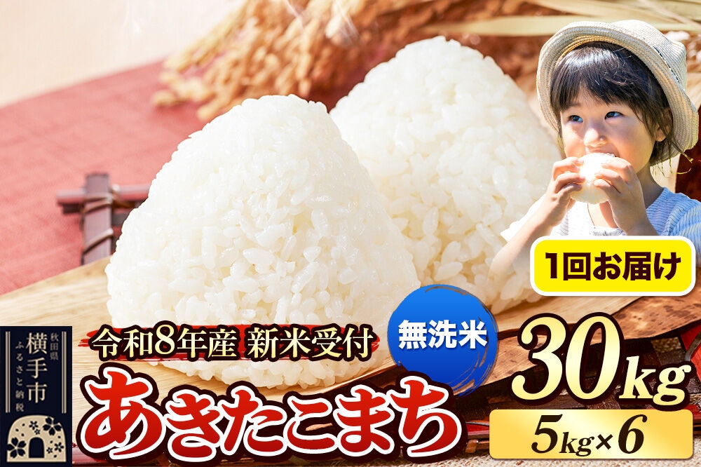 
                  《令和8年産 新米受付》米 あきたこまち 30kg（5kg×6袋） 【無洗米】 秋田県産 [新米 先行予約 先行受付 米 コメ 無洗米 あきたこまち おいしい 美味しい]
                