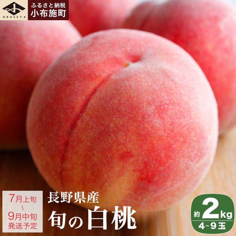 旬の白桃 約2kg 4～9玉 ［小布施屋］ 長野県産 白桃 もも モモ フルーツ 果物 長野県産 信州産 クール便 冷蔵便 たまき なつき あかつき 川中島白鳳 川中島白桃など 令和8年産 【2026年7月上旬～9月中旬発送】