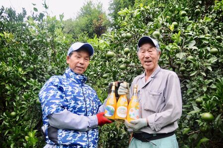【栽培期間中農薬不使用】清見ストレートジュース 720ml×6本入り ※離島への配送不可 【ふるさと納税 人気 おすすめ ランキング 柑橘 みかん ミカン 蜜柑 ジュース ミカンジュース オレンジジュ