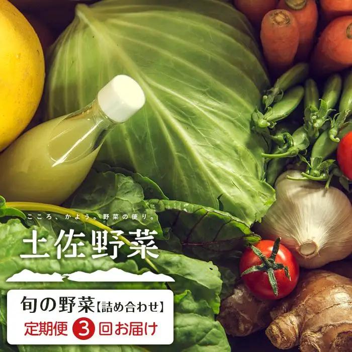 旬の土佐野菜セット 旬の詰め合わせ小セット 3回定期便 野菜