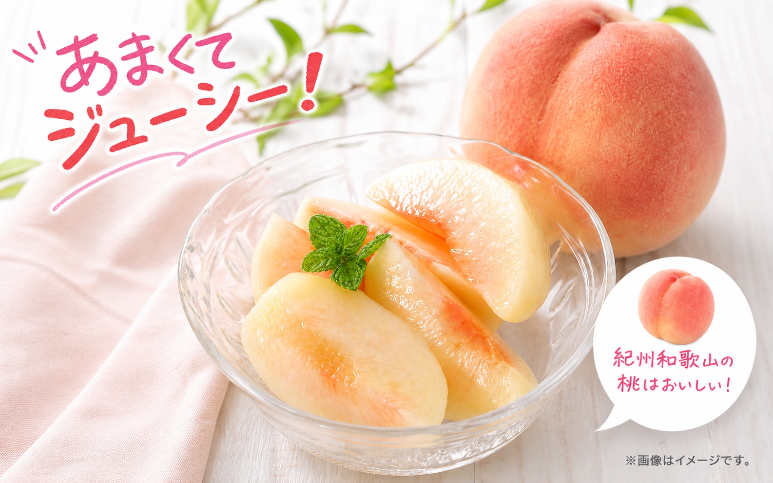 【ご家庭用訳あり】紀州和歌山産の桃　約1.8kg【2027年7月中旬頃～8月中旬頃順次発送予定】/ もも くだもの フルーツ 【uot873】