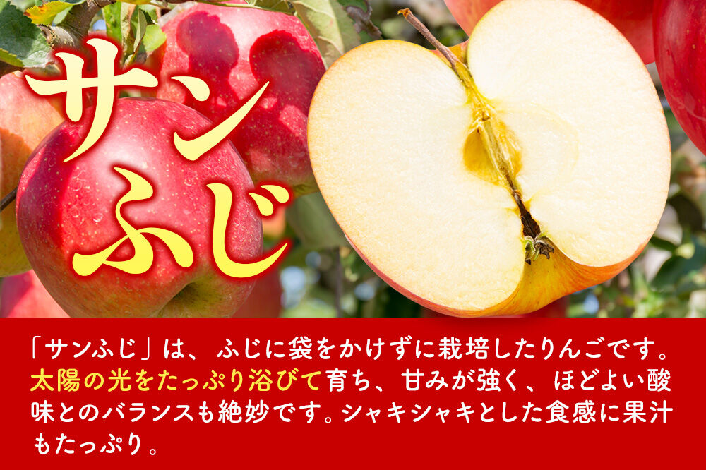 【26年12月発送】りんご 葉とらず サンふじ【家庭用】約3kg 糖度13.5度以上 先行受付 青森県 弘前市 果物 フルーツ 林檎 リンゴ くだもの 不揃い 規格外 [先行予約 産地直送 アップル おいしい 果実 美味 甘い 赤色]