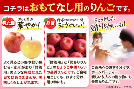 りんご 【先行受付】平均糖度13度以上！ 有袋ふじ 約5kg おもてなし用 CA貯蔵 クール便