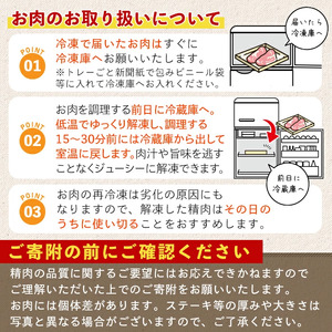 ＜2026年1月中に発送予定＞鹿児島県曽於市産 曽於ポーク切り落とし 計1.5kg(モモウデ切り落とし) 真空パック 豚肉 切り落とし【Rana】A810-01