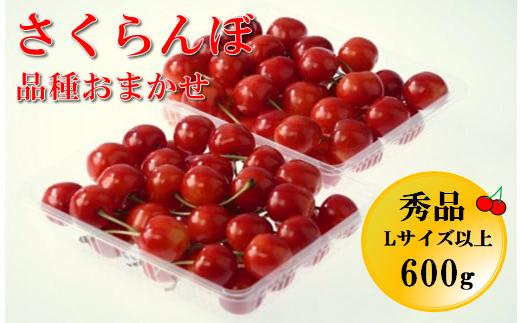 08-05-001　さくらんぼ品種おまかせ600g