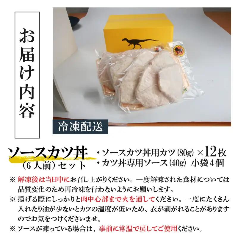 惣菜 ソースカツ丼セット 6人前  [A-037019]