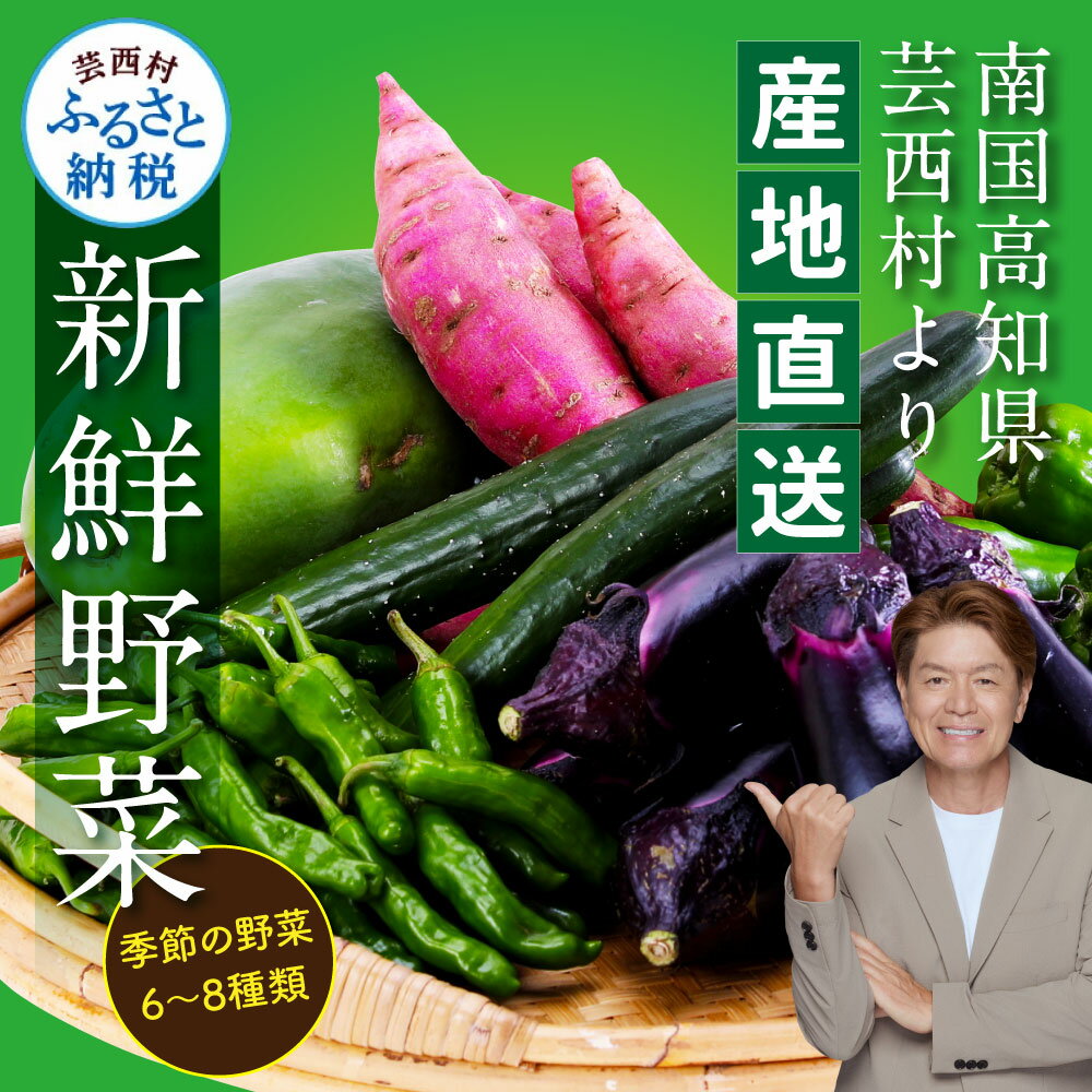 【ふるさと納税】【先行予約】野菜 朝採れ 野菜詰め合わせ 朝獲れ セット 芸西村で採れた新鮮な野菜6～8種類 野菜 詰め合わせ お試し 新鮮 食べ比べ 特産品 ピーマン 環境 ナス 旬 支援品 故郷納税 野菜セット 産地直送 5000円台 おすすめ（クラウドファンディング対象）