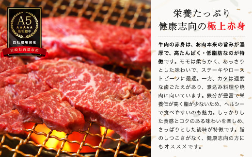 【最高品質のA5等級 西都和牛】黒毛和牛赤身焼肉 600g ＜1.4-6＞【カミチクファーム】