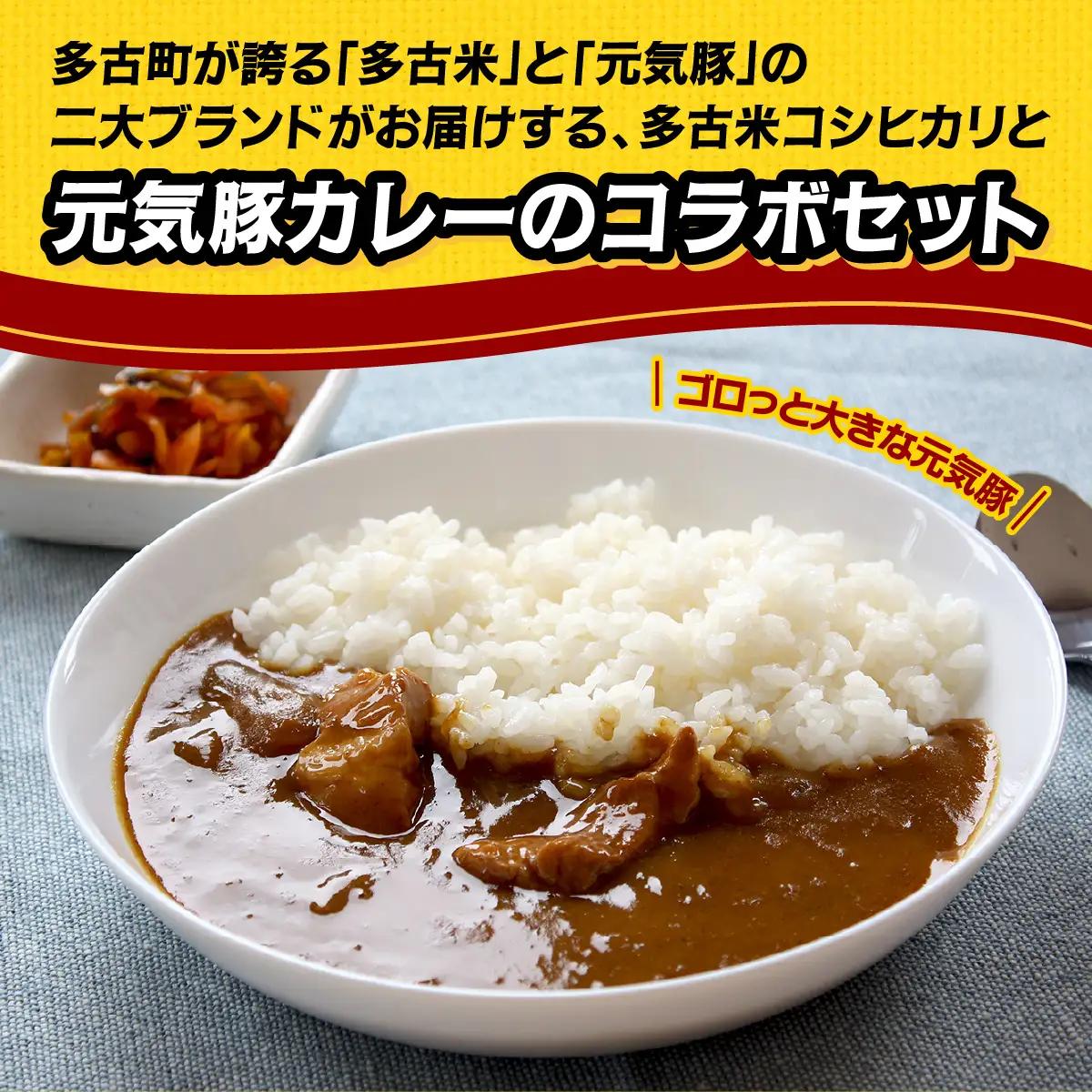 ご飯にはやっぱりカレー!「多古米コシヒカリ2kg」と「元気豚カレー200g×6」セット_ 精米 米    コシヒカリ 米 こしひかり  惣菜・加工品 カレー  _【配送不可地域：離島・沖縄県】 TAK