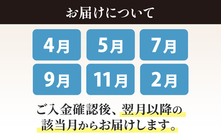 【定期便６回】福井 南越前 海のごちそう便 |  日本海 旬
