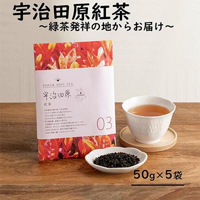 ふるさと納税 宇治田原町 宇治田原紅茶5袋