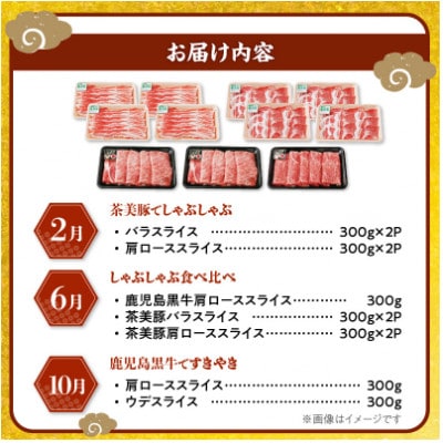 【発送月固定定期便】鹿児島黒牛・茶美豚食べ比べ定期便(南九州市)全3回【配送不可地域：離島】