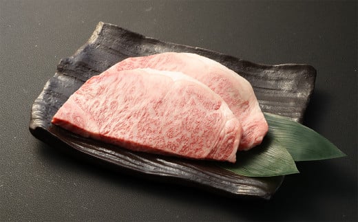 【全12回定期便】長崎和牛 サーロイン ステーキ 約200g×2枚 合計400g 和牛 国産 牛肉 お肉 冷凍 長崎