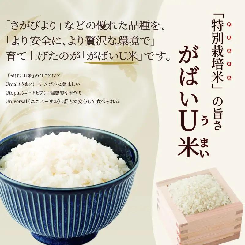 ≪ 定期便 3ヶ月 計 30kg ≫ 訳あり無洗米 10kg ( 5kg × 2袋 ) 令和7年産 がばいU米(うまい)  佐賀県産 米 お米 こめ コメ 白米 五つ星 お米マイスター厳選 鳥栖市ふる