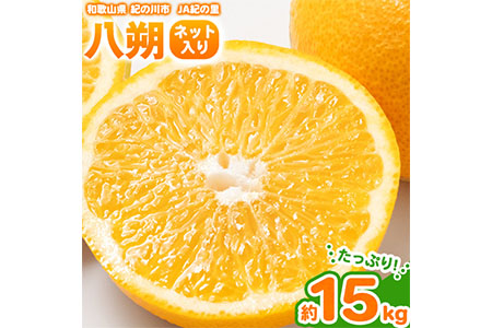 【先行予約】八朔 ネット入 約15kg （3L-Lサイズ） JAわかやま 紀の里地域本部 《2026年1月上旬-3月末頃出荷》 和歌山県 紀の川市 果物 フルーツ 柑橘 はっさく---wsk_jak20_1j3m_24_22000_15kg---