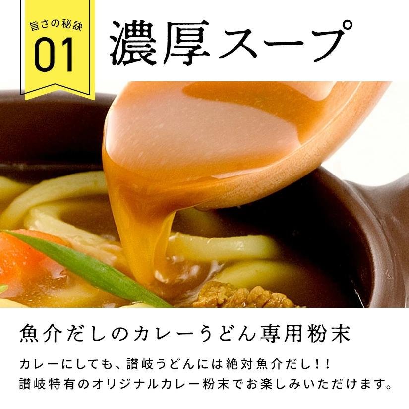 M104-0016_【ふるさと納税】【ゆうパケット】讃岐のカレーうどん 8食セット