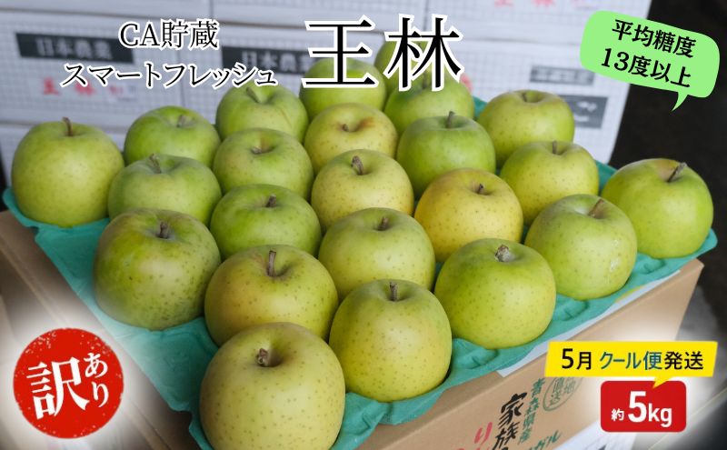 りんご 【5月クール便発送】 平均糖度13度以上 訳あり SF CA 王林 約 5kg 【 弘前市産 青森りんご 】 リンゴ 林檎  果物 くだもの フルーツ 弘前 青森 訳アリ 
