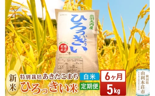 《定期便6ヶ月》【白米】 秋田県産 あきたこまち 5kg 令和7年産 特別栽培米 ひろっきい米
